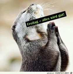 funpot0000063379_x250_y000.webp