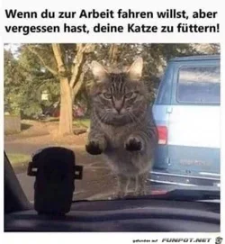funpot0000064282_x300_y000.webp