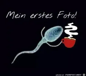 funpot0000065311_x400_y000.webp