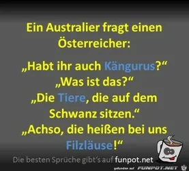 funpot0000064994_x400_y000.webp