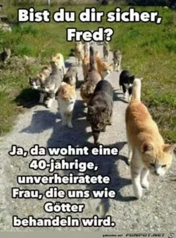 funpot0000065015_x300_y000.webp funpot0000065015_x300_y000.webp