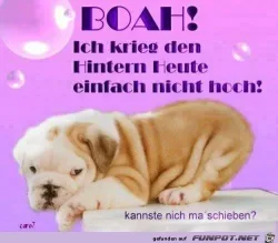 funpot0000055774_x250_y000.webp funpot0000055774_x250_y000.webp