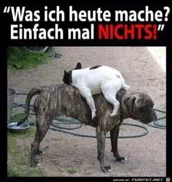 funpot0000064800_x300_y000.webp funpot0000064800_x300_y000.webp