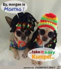 funpot0000068055_x250_y000.webp funpot0000068055_x250_y000.webp
