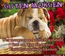 funpot0000064470_x250_y000.webp funpot0000064470_x250_y000.webp