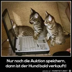 funpot0000071622_x300_y000.webp funpot0000071622_x300_y000.webp