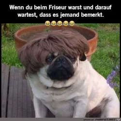 funpot0000075566_x400_y000.webp funpot0000075566_x400_y000.webp