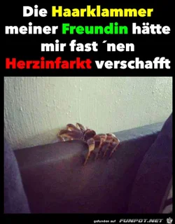 funpot0000076823_x400_y000.webp funpot0000076823_x400_y000.webp