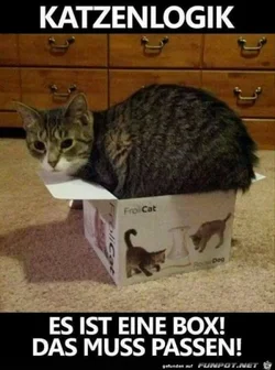 funpot0000078141_x400_y000.webp