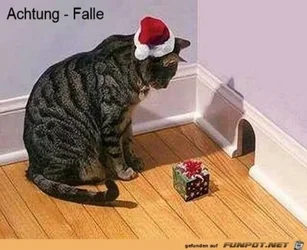 b3104c8ff405f5a8_x400_y000.webp