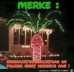 funpot0000083700_x400_y000.webp funpot0000083700_x400_y000.webp