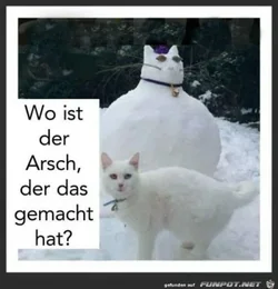 funpot0000086205_x400_y000.webp funpot0000086205_x400_y000.webp