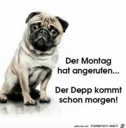 funpot0000080453_x300_y000.webp