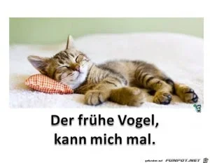 4b9841aa7e1e16ad_x300_y000.webp