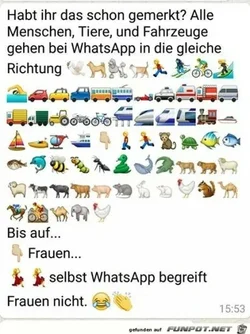 funpot0000091940_x400_y000.webp