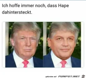 funpot0000098370_x300_y000.webp