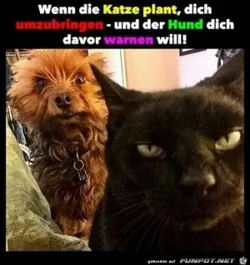 funpot0000093607_x300_y000.webp