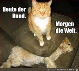 funpot0000092077_x300_y000.webp