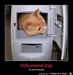 funpot0000108083_x300_y000.webp funpot0000108083_x300_y000.webp