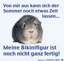 funpot0000112079_x400_y000.webp funpot0000112079_x400_y000.webp