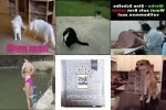 funpot0000114930_x150_y100.webp funpot0000114930_x150_y100.webp