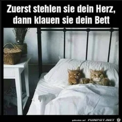 funpot0000103356_x300_y000.webp funpot0000103356_x300_y000.webp