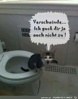 funpot0000116391_x400_y000.webp funpot0000116391_x400_y000.webp