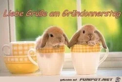 2cee51706d76f92f_x250_y169.webp 2cee51706d76f92f_x250_y169.webp