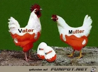 funpot0000023083_x400_y000.webp funpot0000023083_x400_y000.webp