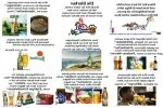 funpot0000113795_x150_y100.webp funpot0000113795_x150_y100.webp