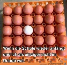 funpot0000119437_x400_y000.webp funpot0000119437_x400_y000.webp