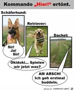 funpot0000118354_x300_y000.webp funpot0000118354_x300_y000.webp
