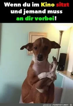 funpot0000122433_x300_y000.webp funpot0000122433_x300_y000.webp