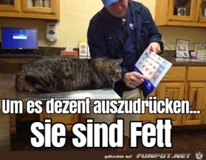 funpot0000124366_x300_y000.webp funpot0000124366_x300_y000.webp