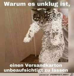 funpot0000125472_x300_y000.webp funpot0000125472_x300_y000.webp