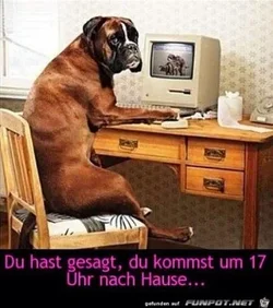 funpot0000122850_x300_y000.webp funpot0000122850_x300_y000.webp
