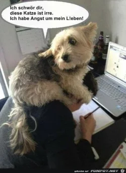 funpot0000128061_x300_y000.webp