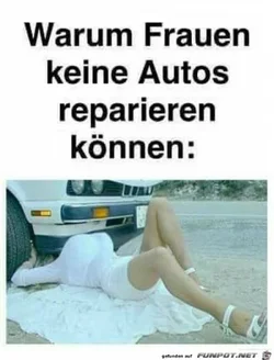 funpot0000129668_x400_y000.webp