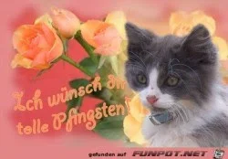 644617777e6102f7_x250_y174.webp