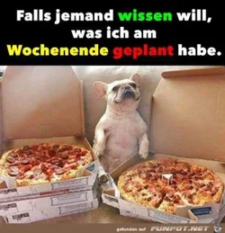 funpot0000136685_x300_y000.webp