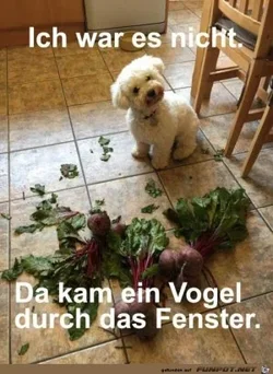 funpot0000132350_x300_y000.webp