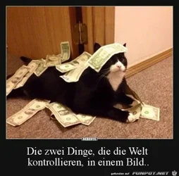 funpot0000129474_x400_y000.webp