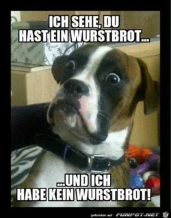funpot0000136329_x300_y000.webp