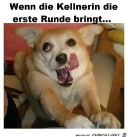 funpot0000143544_x300_y000.webp