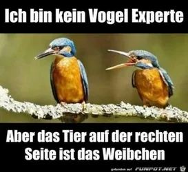 funpot0000143641_x400_y000.webp