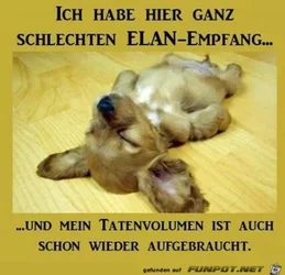 funpot0000147186_x400_y000.webp