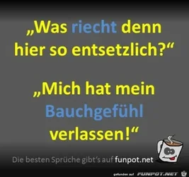 funpot0000154848_x400_y000.webp