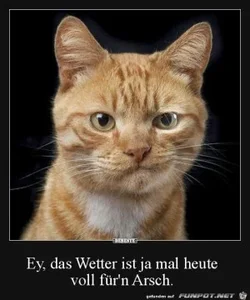 funpot0000156571_x300_y000.webp