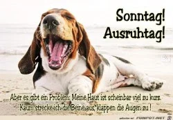 funpot0000155107_x250_y174.webp