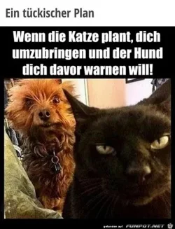 funpot0000151739_x300_y000.webp